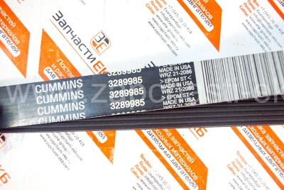 3289659 Приводной ребристый ремень для Cummins